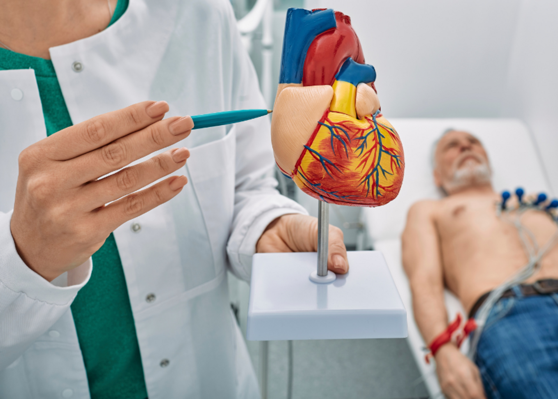 Left Atrial Appendage Closure (LAAC)