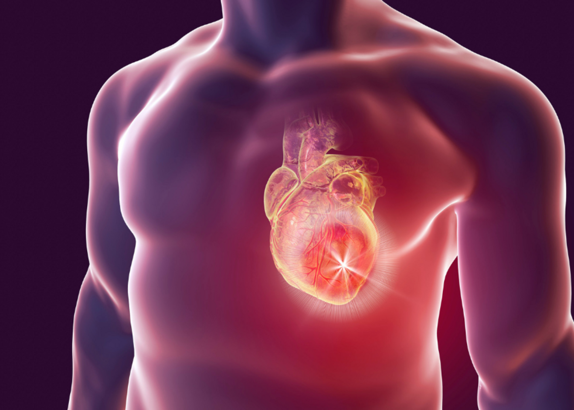 Structural Heart Disease Interventions